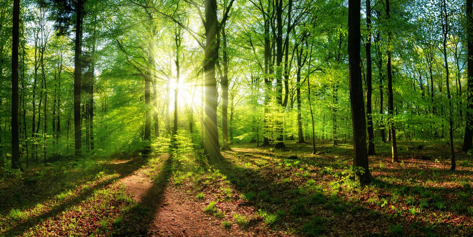 Investing For Impact: The Evolution of “ESG”