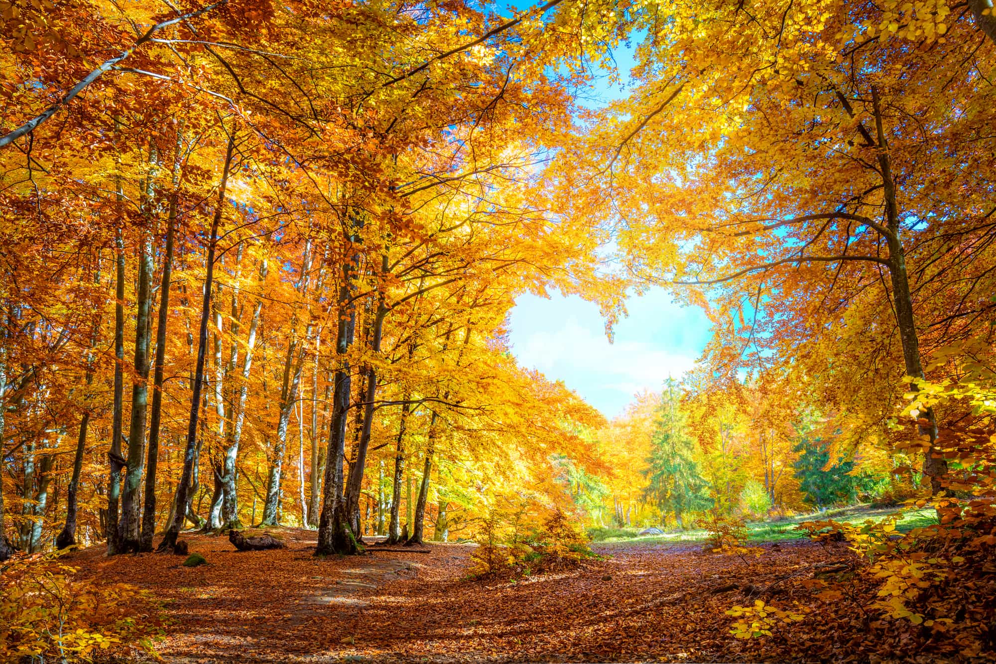 The Most Wonderful Time of the Year...for Charitable Contributions