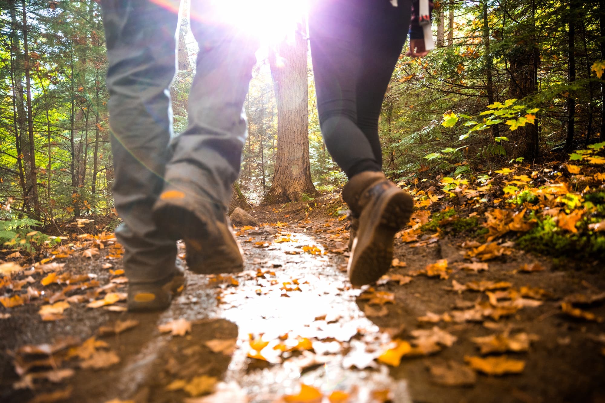 Ditch the Doldrums in the Great Outdoors ~Summer of COVID~